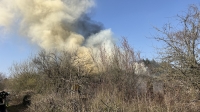 Eine Gartenlaube brannte am 19. März 2026 im ehemaligen Kleingartengelände, die Feuerwehr löschte unter Atemschutz.