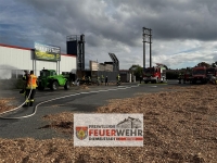 Die Holzverstromungsanlage in Rhoden hat am 6. Oktober 2024 Feuer gefangen. 