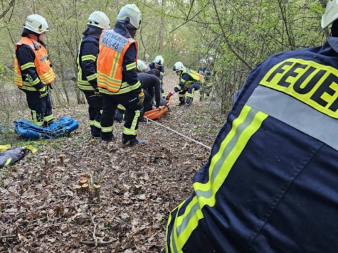 Ein abgestürztes Pferd musste von den Feuerwehren aus Nieder-Werbe und Sachsenhausen aus steilem Gelände gerettet werden.