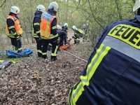 Ein abgestürztes Pferd musste von den Feuerwehren aus Nieder-Werbe und Sachsenhausen aus steilem Gelände gerettet werden.