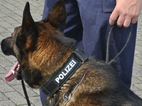 Ein Drogenspürhund der Polizei war ebenfalls im Einsatz.