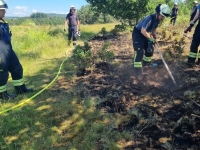 Die Feuerwehren aus Viermünden und Frankenberg waren mit 20 Einsatzkräften und fünf Fahrzeugen im Einsatz.