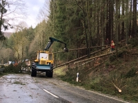 Derzeit werden die Straßen im Landkreis Waldeck-Frankenberg von umgestürzten Bäumen befreit.