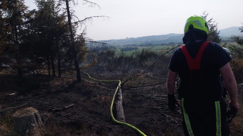 Am 9. August 2025 unterstützte die Feuerwehr Korbach die Waldbrandbekämpfung in Medebach auf 1,5 Hektar.
