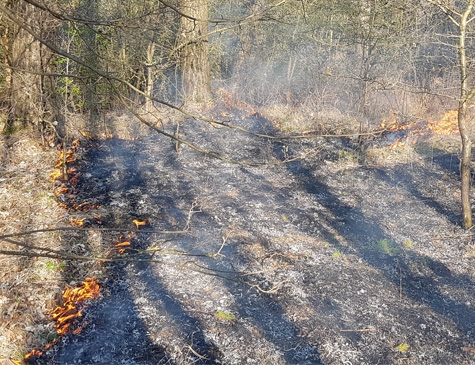 Die Korbacher Feuerwehr wurde am Samstag zu einem Waldbrand zwischen Korbach und Strothe alarmiert.