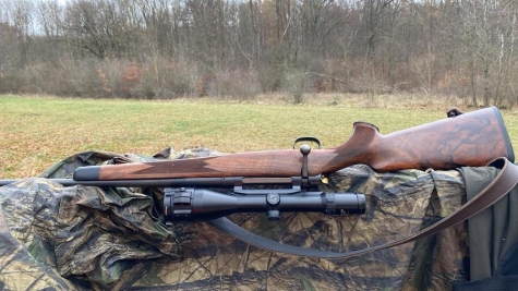 Wegen einer Drückjagd wurde die zulässige Höchstgeschwindigkeit auf 50 km/h reduziert.