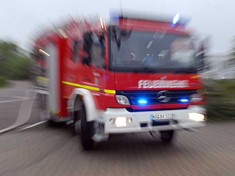 Die Feuerwehren aus Bad Arolsen rückten am 25. Januar 2022 aus, um einen Brand in Landau zu löschen.
