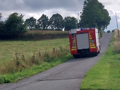 Feuerwehreinsatz in Marsberg nach Sichtung einer Schlingnatter am 27. Juli 2025.