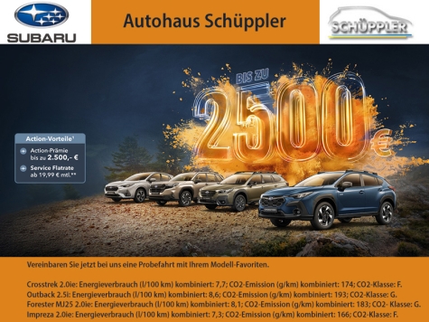 Abbildungen enthalten Sonderausstattung.***