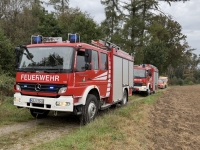 Einsatzkräfte suchten am 1. Oktober 2026 in einem schwer zugänglichen Waldgebiet bei Volkmarsen nach einer verunglückten Person.