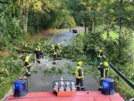 Die Feuerwehr Rhoden musste am Mittwoch zu einem umgestürzten Baum ausrücken, der auf ein vorbeifahrendes Fahrzeug gestürzt war.