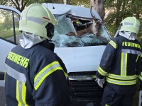 Am 23. September 2025 kollidierte ein Transporter mit einem Rothirsch