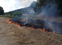 Die Feuerwehr wurde am 16. August zu einem Brand nach Wega alarmiert.