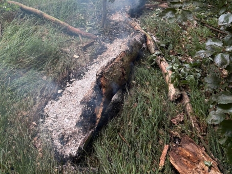 Die Feuerwehr Stadt Waldeck wurde am Samstagvormittag zu einem Waldbrand nach Waldeck-See alarmiert.