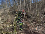 Am 19. Februar rückte die Feuerwehr aus um einen Forstarbeiter zu retten.