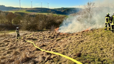 Einsatzkräfte der Feuerwehr Brilon bringen den Flächenbrand auf einem Feld schnell unter Kontrolle und verhindern eine Ausbreitung der Flammen.