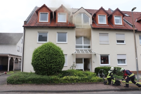 Drei Hunde wurden durch die Feuerwehr aus einer brennenden Wohnung gerettet.