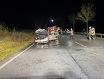 Am 14. November brannte ein Mercedes-Benz auf der Bundesstraße 252 kurz vor Twiste aus. 