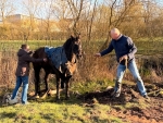 Ein im Schlamm eingesunkenes Pferd ist am 27. M&auml;rz 2026 in Volkmarsen von Einsatzkr&auml;ften befreit worden.