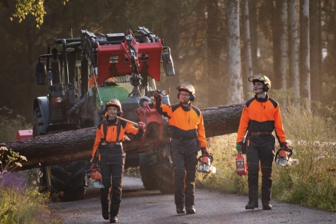 Forstwirte sind Waldgestalter. Der Start der Laubholzernte sorgt für Mischung im Wald und liefert mit Brennholz einen klimaneutralen und vor Ort erzeugten Energieträger.