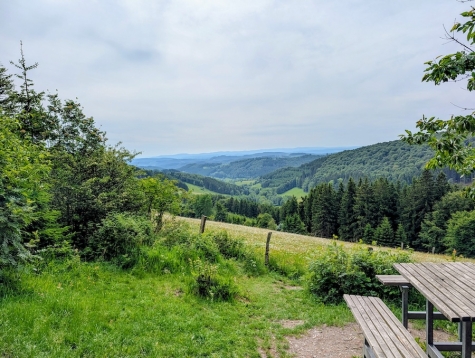 Auf dem Selbsthilfespaziergang am 17. Juni ist auch die „Schöne Aussicht“ zu genießen.