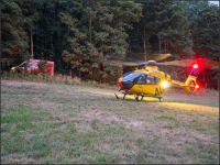 Der Einsatz führte den DRK Rettungsdienst und den Rettungshubschrauber mitten in den Wald. Handyortung, Martinhorn und Hubschraubergeräusch halfen bei der Lokalisation. 