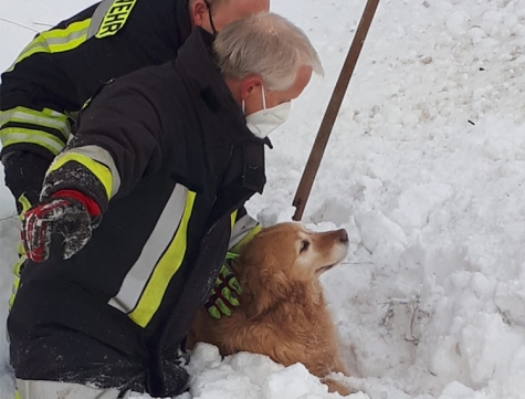 Feuerwehrleute haben am 10. Februar einen Hund aus einer Betonröhre gerettet.