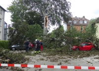 In Kassel stürzte am 26. August ein Buchenast auf abgestellte Fahrzeuge.