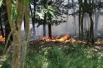 Rund 120 Einsatzkräfte bekämpften den Waldbrand bei Rhena, der auf etwa einen Hektar Fläche ausgebreitet war.