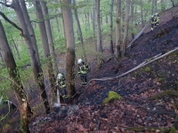 Am "Derkerstein" kam es am Ostermontag zu einem Waldbrand.