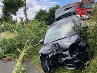 Auf der B 252 bei Brakel kollidierte eine Autofahrerin am 20. Juli 2026 zunächst mit einem Reh und anschließend mit einem Baum.