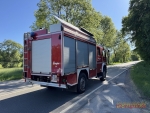 Freilaufende Rinder waren am 22. Oktober 2026 offenbar Auslöser eines Auffahrunfalls bei Hillershausen.