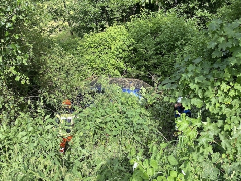 Feuerwehrleute sägten sich mit Kettensägen zum abgestürzten Fahrzeug durch – der Pkw war durch Büsche und Bäume nahezu komplett verdeckt.