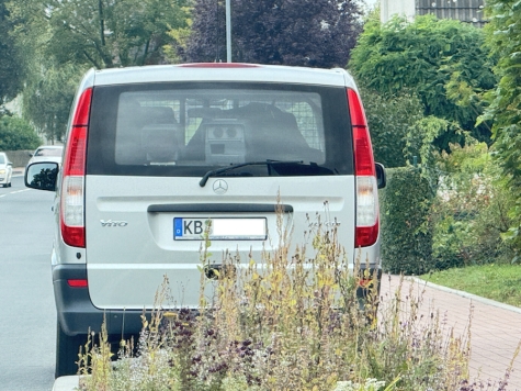 Insgesamt 3183 Fahrzeuge passierten die Messstellen – nur wenige waren zu schnell.