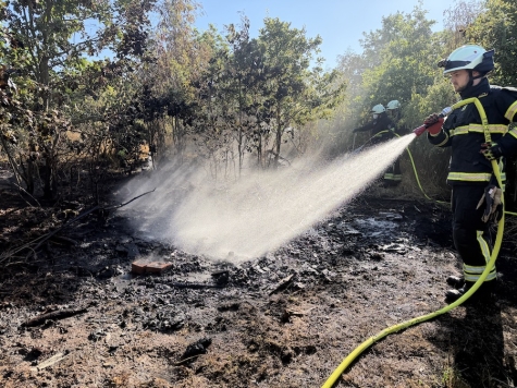 Rund 150 Quadratmeter Waldboden, Gras, Büsche und kleinere Bäume waren beim Waldbrand am 12. August 2026 zwischen Viermünden und Sachsenberg betroffen.