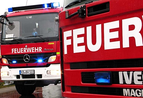 Vogelspinne: Am 27. Oktober rückte die Freiwillige Feuerwehr Bad Arolsen zu einem ungewöhnlichen Einsatz aus.