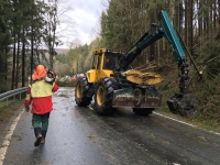 Baumpflegearbeiten: Straßen am Edersee werden gesperrt.