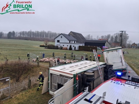 Ein dreistöckiger Anhänger mit Schweinen kippte am 14. Februar 2026 um, die Feuerwehr öffnete das Fahrzeug und belüftete den Innenraum.