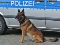 Am 20. Febraur kam ein Sprengstoffspürung der Polizei im Vöhler Rathaus zum Einsatz.