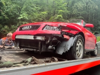 Die Firma AVAS hat am 6. August 2023 einen roten Audi A3 abgeschleppt.