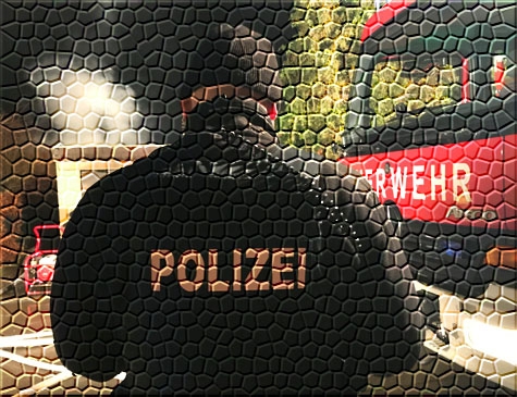 Polizei, Feuerwehr, Rettungsdienst und ein Schornsteinfegermeister waren am 3. Oktober 2020 in Thalitter im Einsatz.  