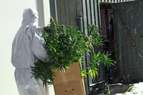 Im Erndtebrücker Ortsteil Birkelbach wurde eine riesige Cannabisplantage entdeckt. 