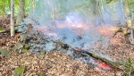 Nationalparkranger entdeckten am 28. Juli 2026 brennenden Waldboden an einem Steilhang bei Scheid und alarmierten die Feuerwehr.