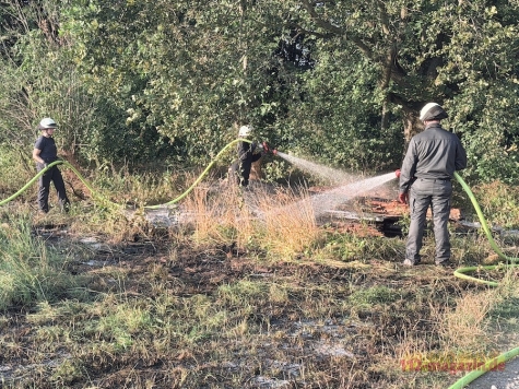 Eine rund 50 Quadratmeter große Rasenfläche und Holz gerieten am 2. August 2026 in Frankenberg in Brand.