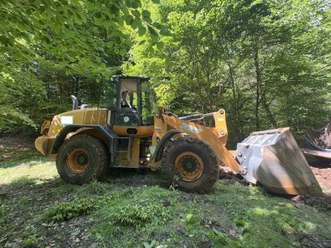 Nach dem Vorfall endete die Fahrt in einem Waldweg an einem Teich, mehrere Fahrzeuge mussten abgeschleppt werden.