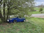 Der Skoda Fabia prallte nach dem Kontrollverlust des Fahrers gegen einen Baum und kam dort zum Stehen.
