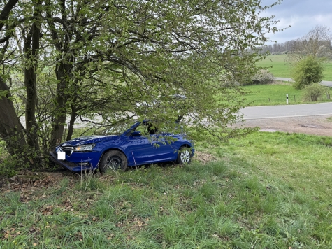 Der Skoda Fabia prallte nach dem Kontrollverlust des Fahrers gegen einen Baum und kam dort zum Stehen.