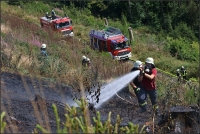 In extrem steilem und unwegsamem Gelände musste die Feuerwehr in Meckhausen einen Waldbrand auf rund 6000 Quadratmetern bekämpfen.