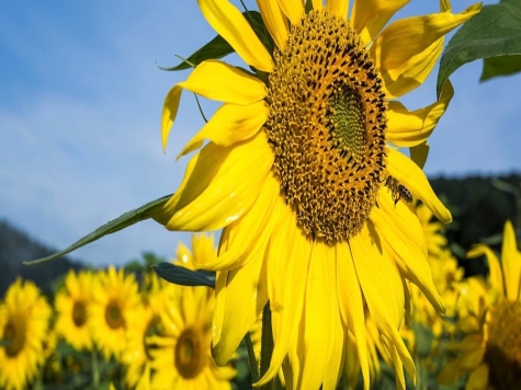 Am 11. Februar 2026 startet im Gesundheitszentrum Battenberg eine neue Selbsthilfegruppe für Angehörige demenzerkrankter Menschen.